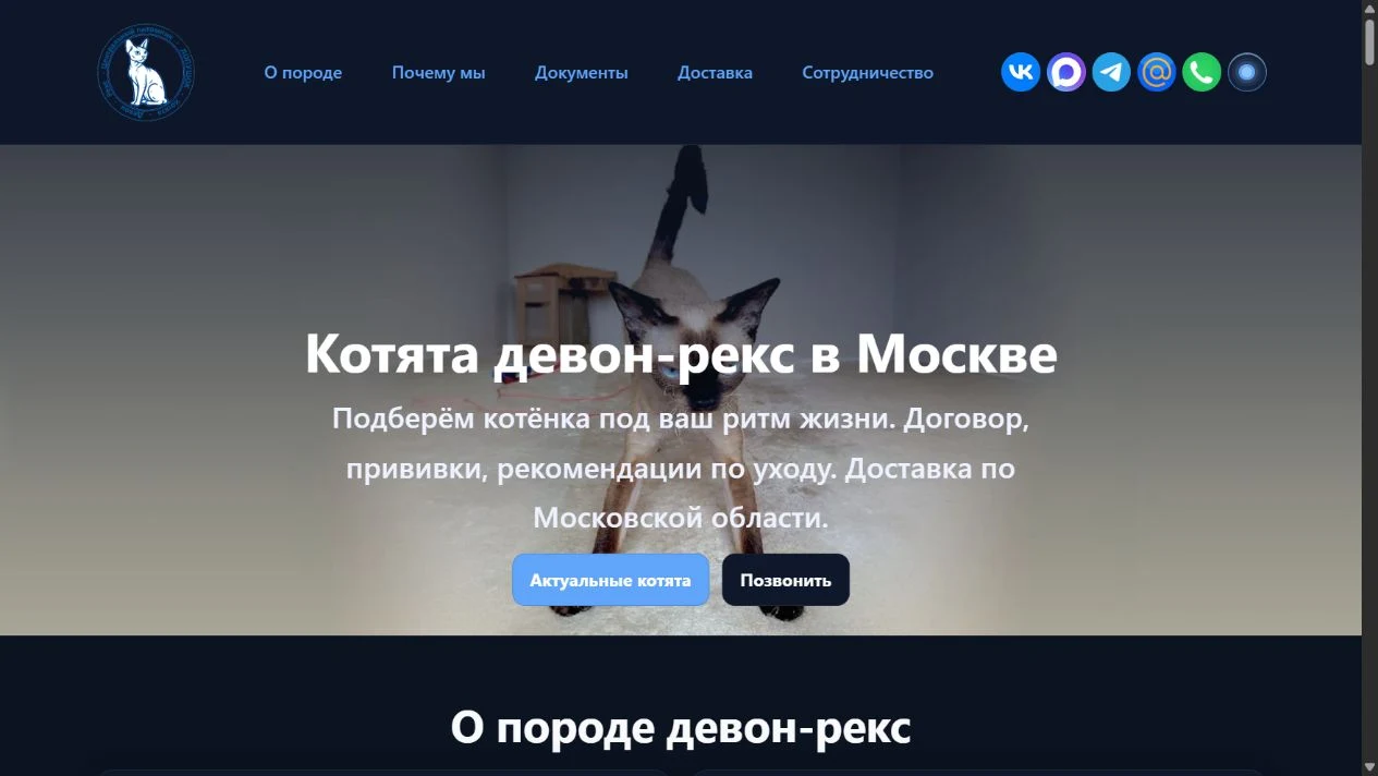 Скриншот компьютерной версии devonreks.ru